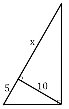 Triangle for Question Number 13