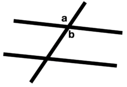 Pair of Angles for Question Number 1